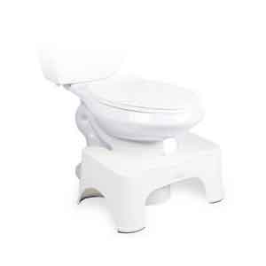 squatty potty type toilet